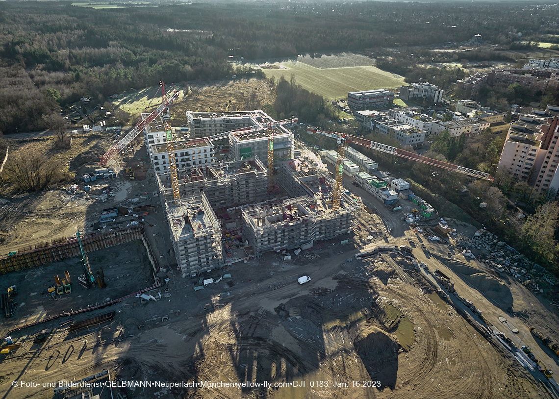 16.01.2023 - Alexisquartier und Pandion Verde